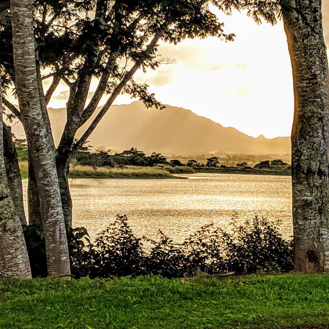 Tanada Reservoir at the Dole Plantation on Honolulu, Hawaii.