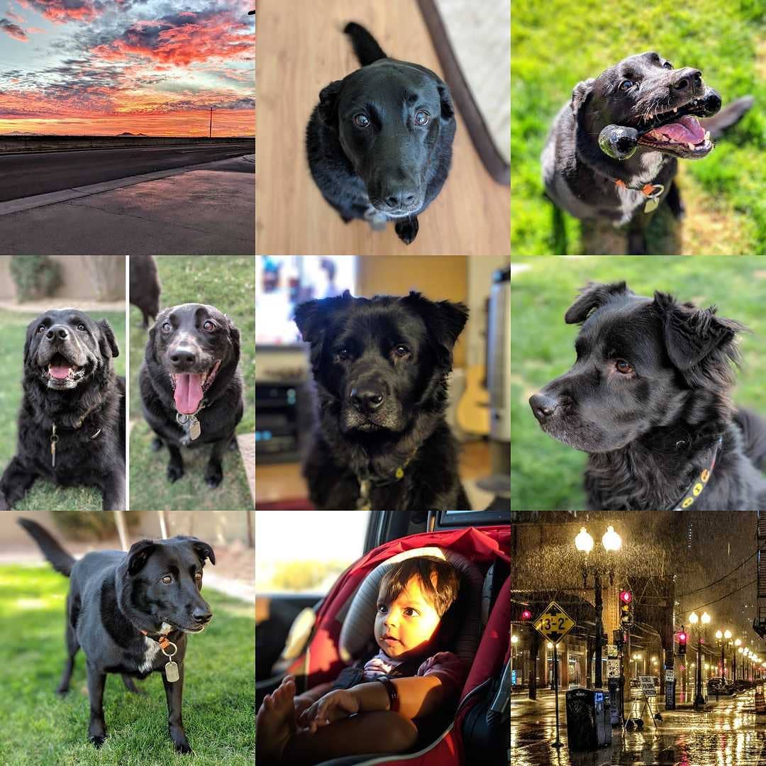 My #2018bestnine.