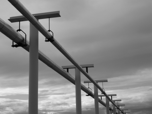 Pipedream BW