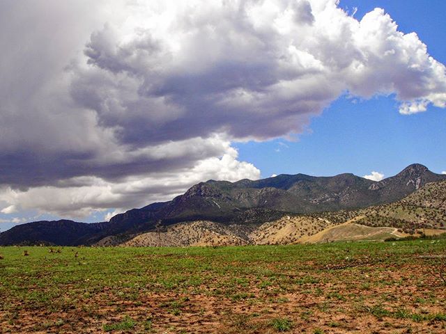 Shot this on my Android G1 during my very last Annual Training exercise in the Arizona Army Natio…​