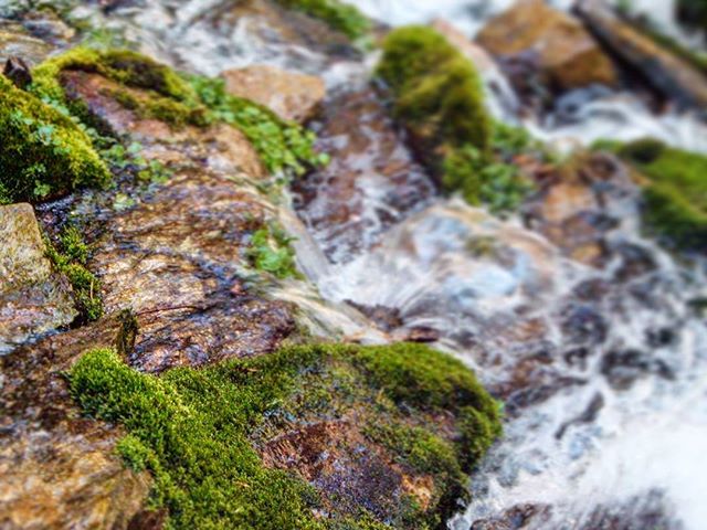 Horton’s Creek in Payson, AZ. This was taken on my very first digital camera; a Fujifilm A330. The tilt shift is artificial, of course. There are many pictures like these I took years ago that I wanted to post process later, but really didn’t know how to or didn’t have the time. Neat that tools like Instagram and Google photos make this so easy now.  #naturephotography #nature #hortonscreek #hortonscreektrail #creek #amateurphotography #amateurphotographer #naturephotography #nature #photography #photographer