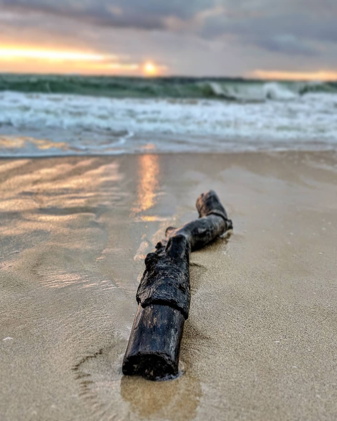 Took this picture on Pounders Beach at sunrise. Had a wallpaper like this many years ago and I wanted to recreate that shot (the original is way better than my amateur attempt). #hawaii #sunrise #poundersbeach #goldenhour #naturephotography #beach #beachphotography #amateurphotography #amateurphotographer #photographer #photography #pixel2xlphotography #mobilephotographer #mobilephotography