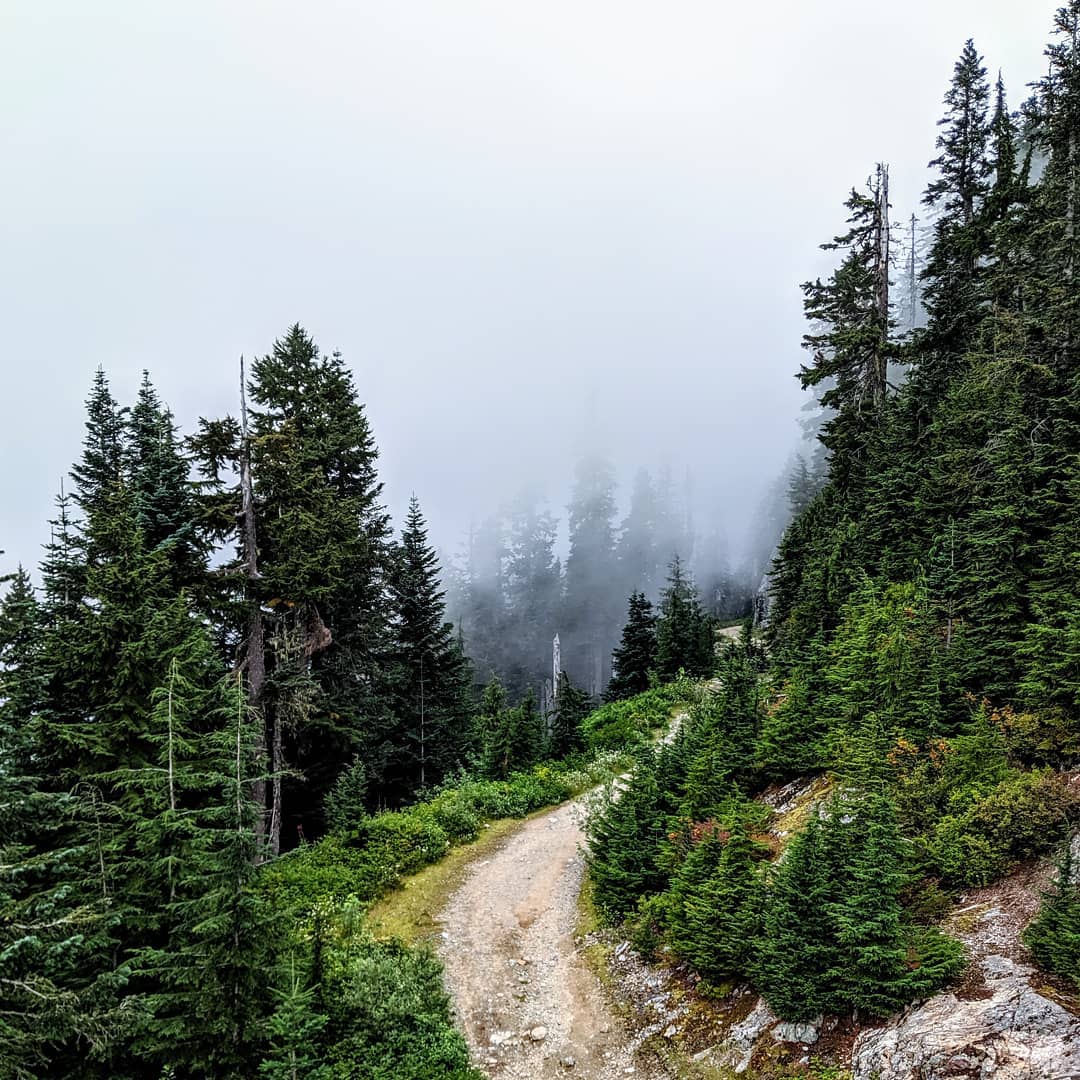 View of a trail on Grouse Mountain.