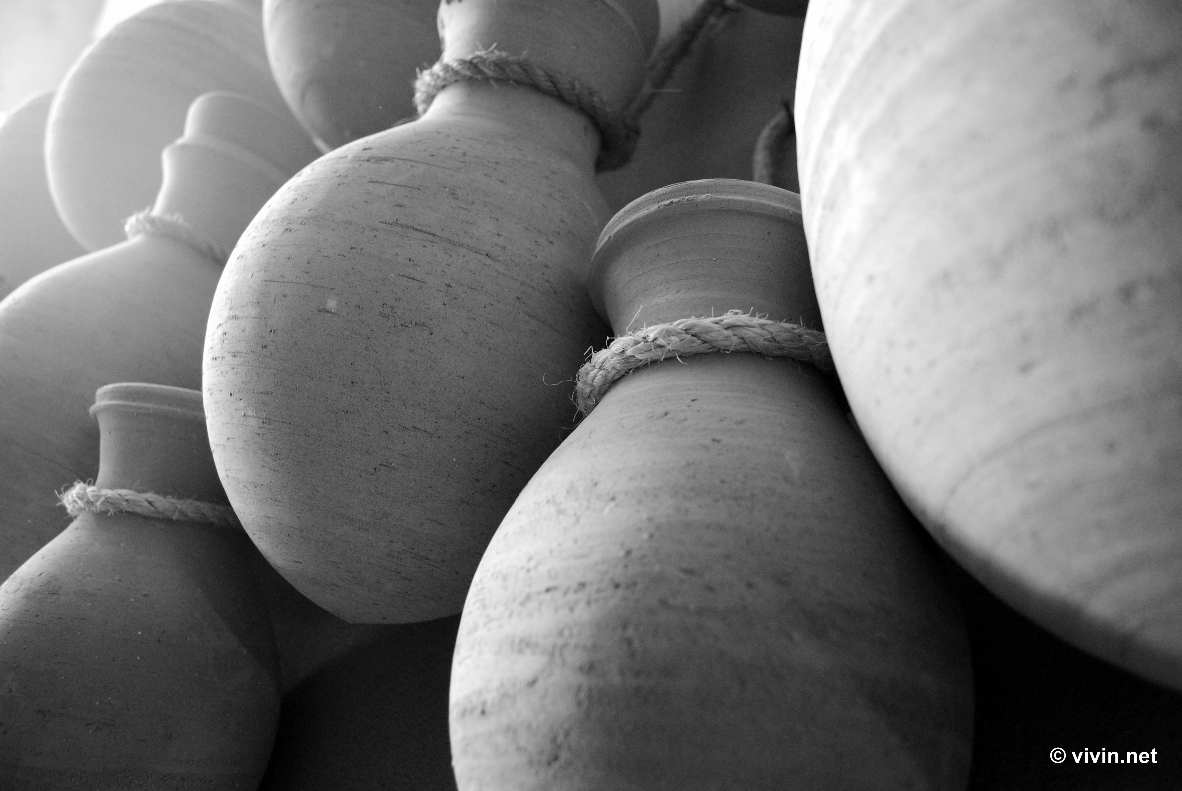 dsc_1019