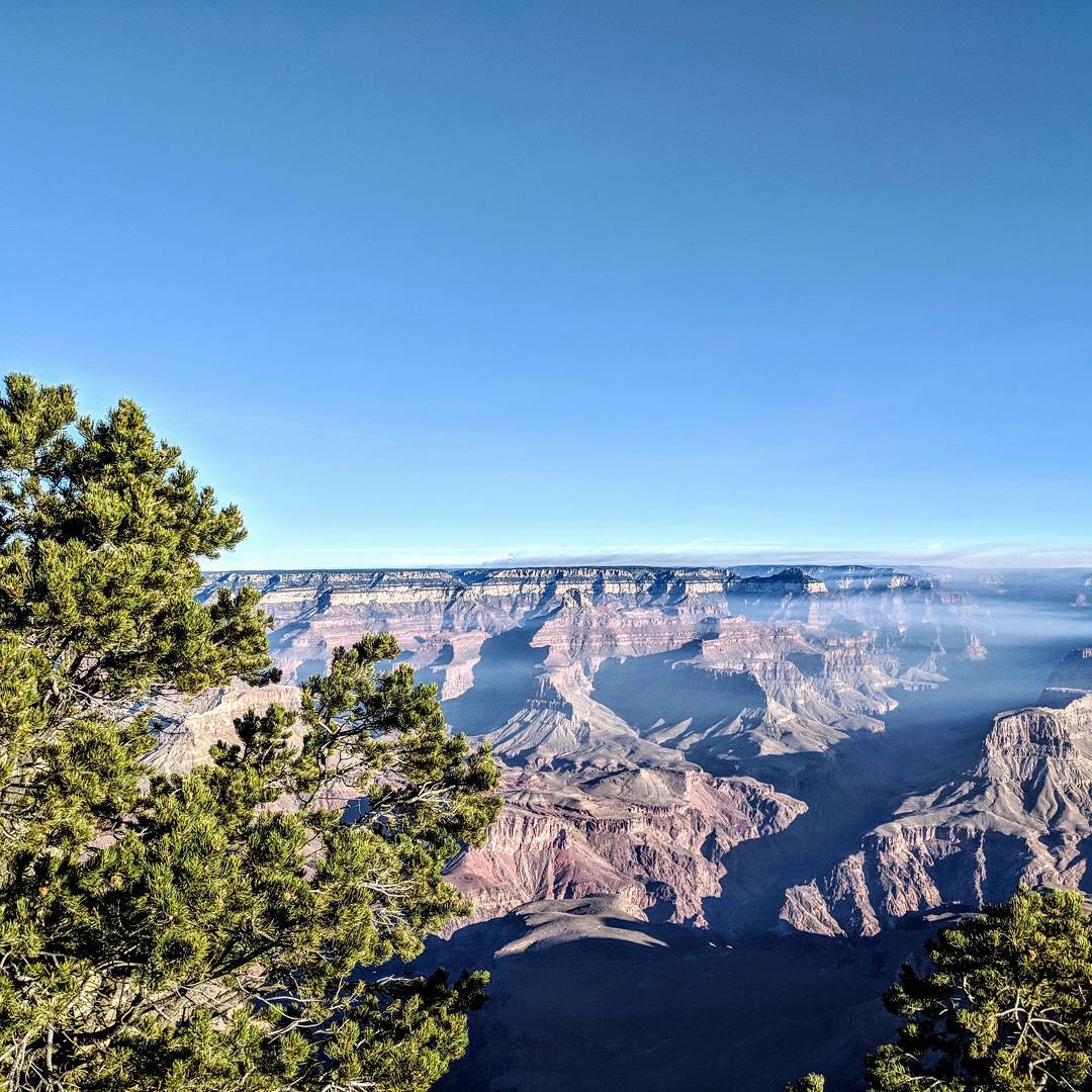 Grand Canyon through the trees.