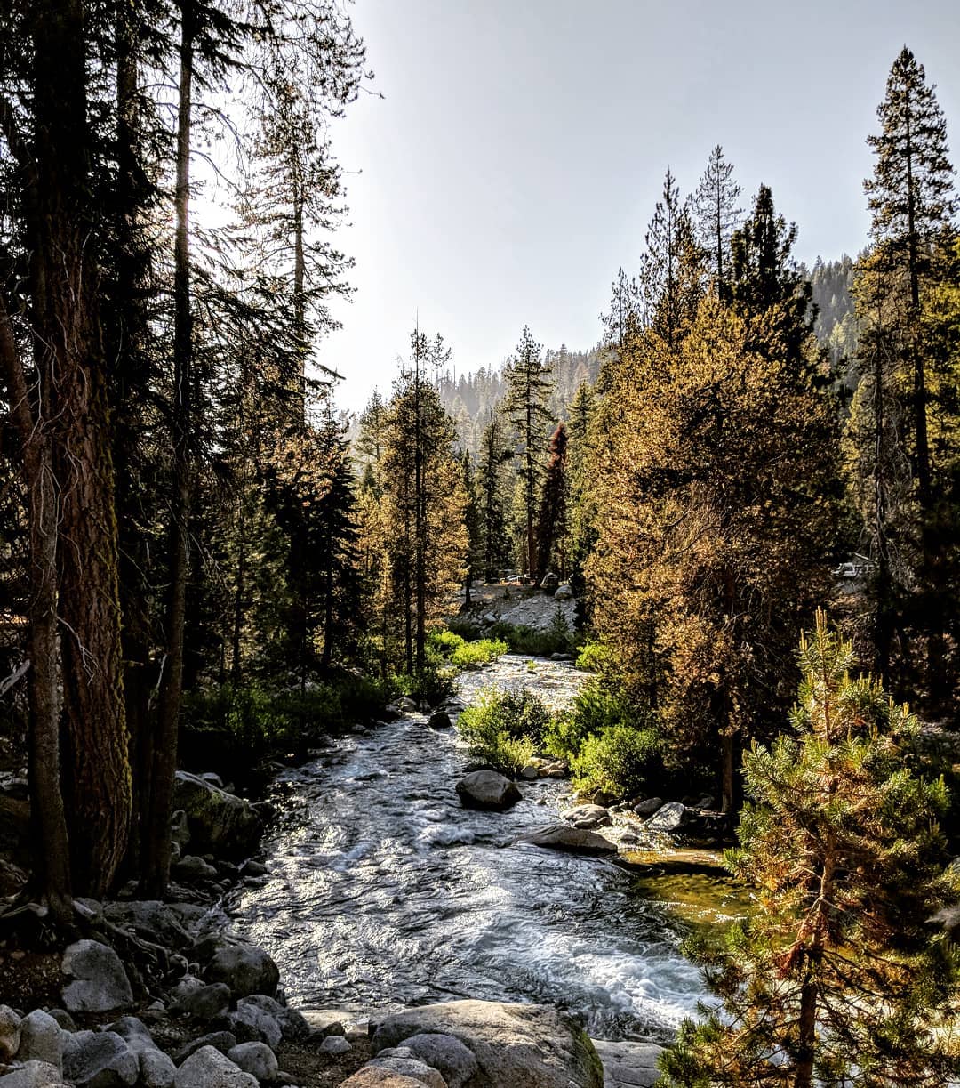 The Kaweah River at the Sequoia National Park.
