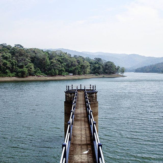 At Vazhani Dam. Shot in 2009 on my old Sony DSC-P200 point and shoot.