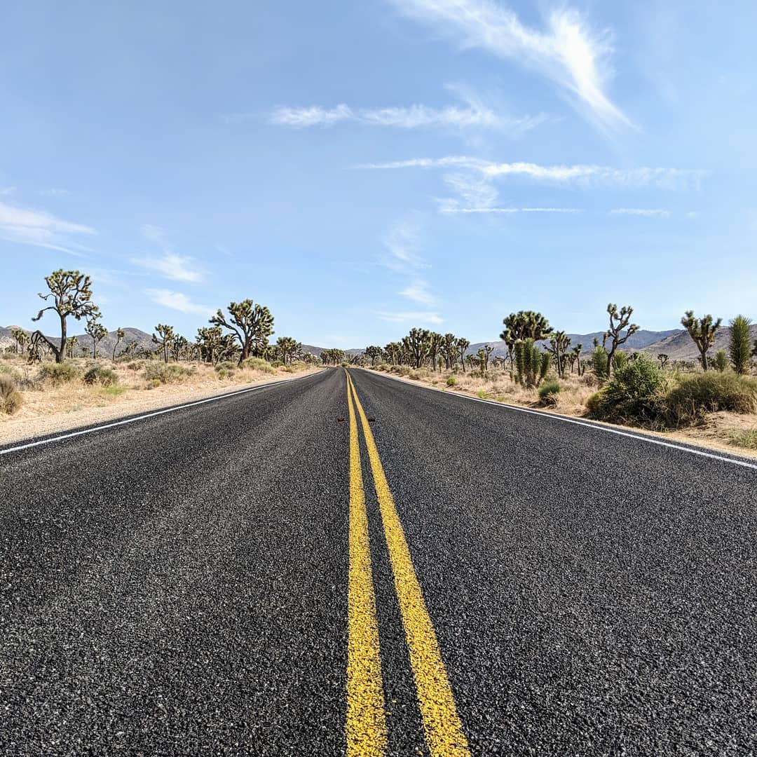 Joshua Tree National Park.
