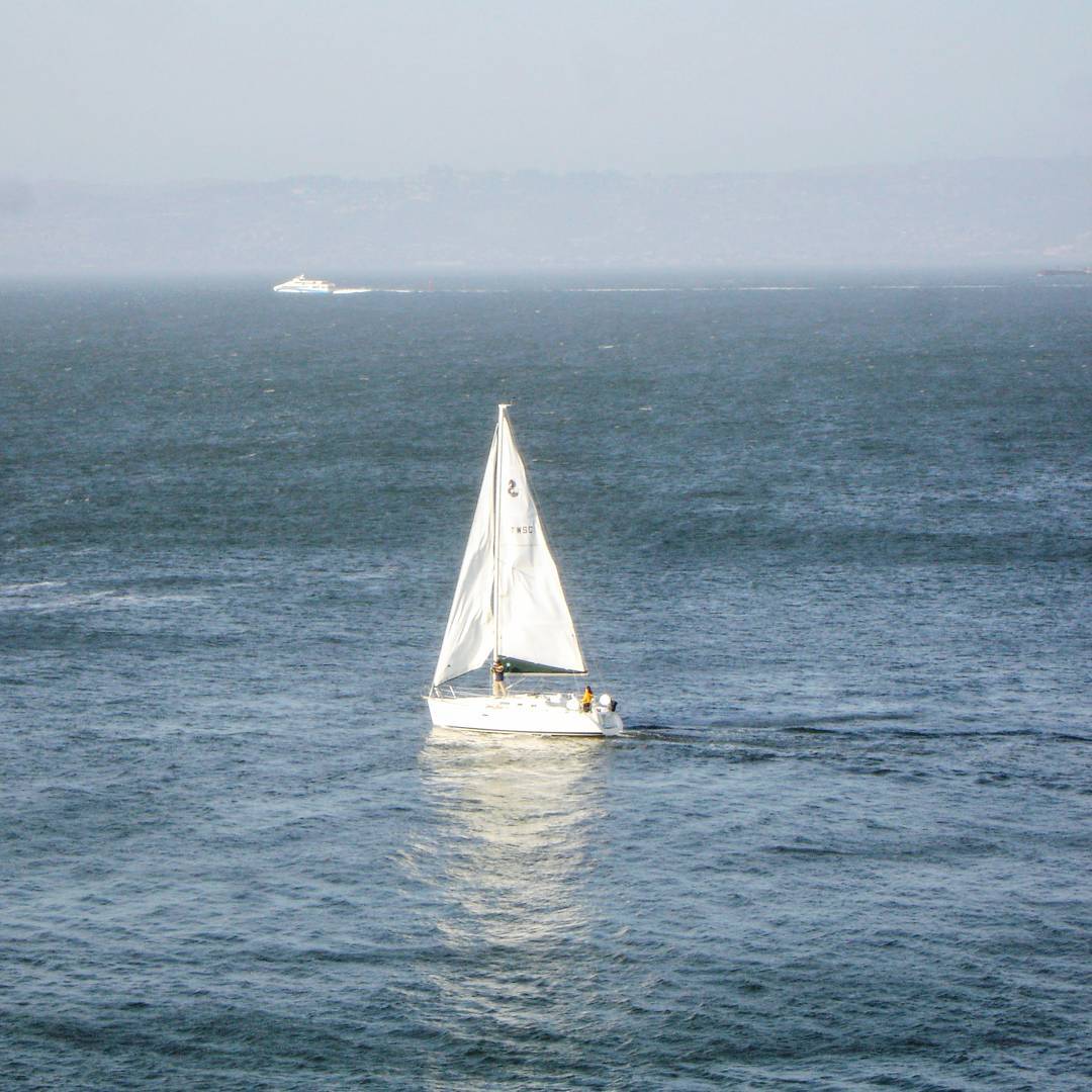 Sailboat through the trees.