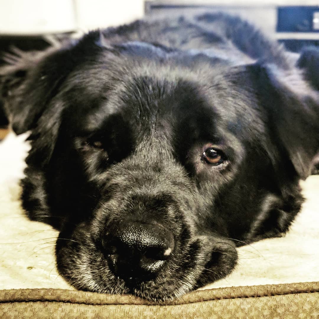 Sleepy smushface.