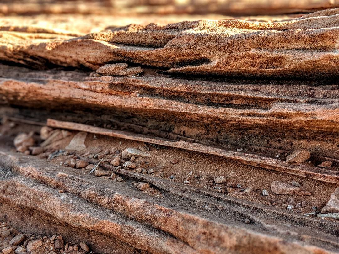 Ancient, fossilized 