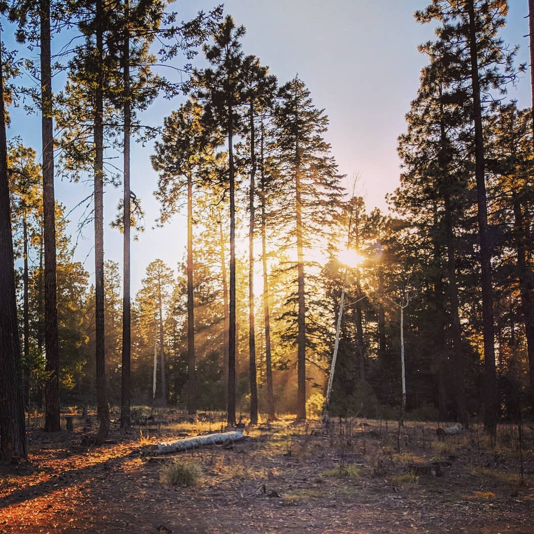 Took this when we went camping late last year at Bear Canyon Lake.