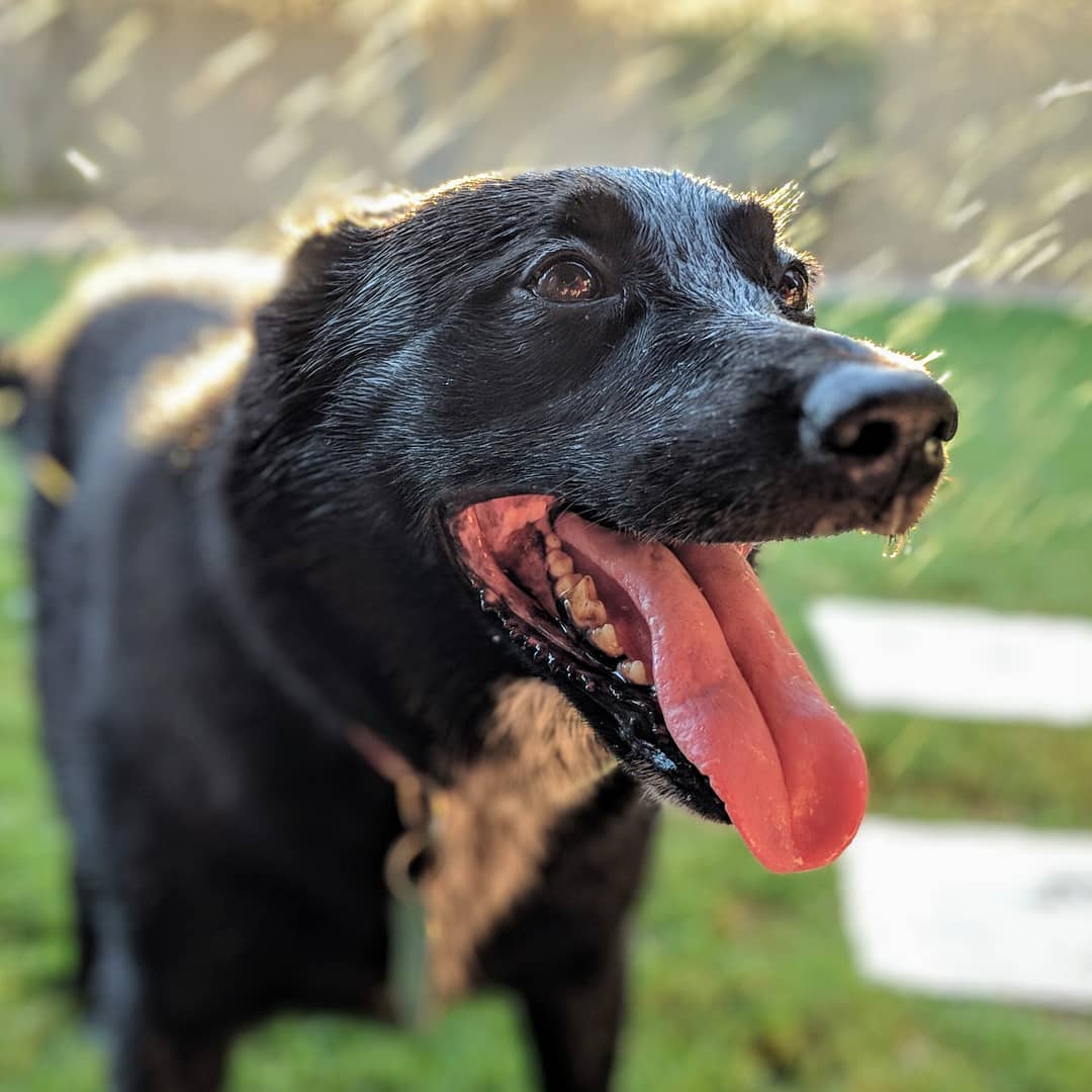 I like to play in the sprinklers!
