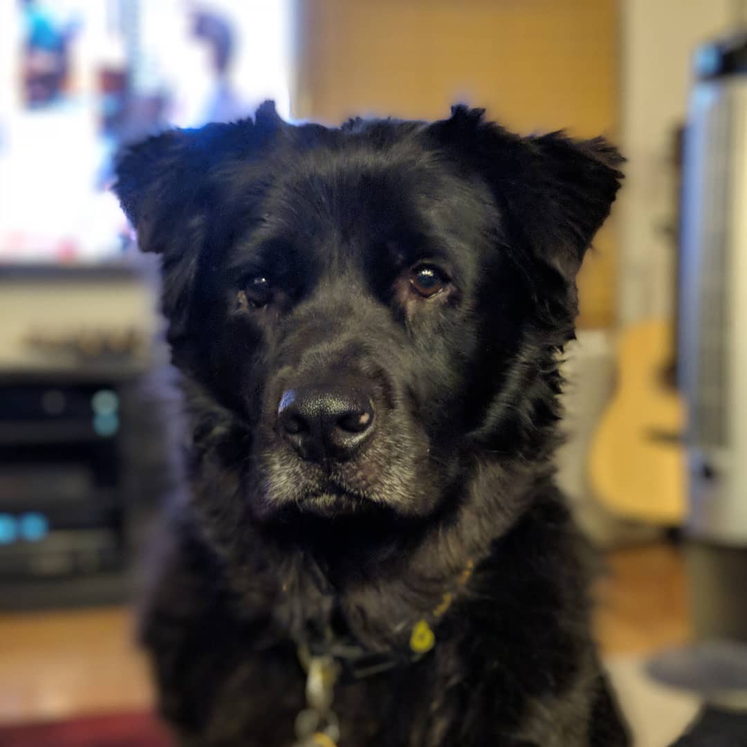 I’m like a little bear.
