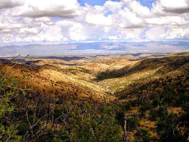 Looking down from somewhere on Mount Lemmon.