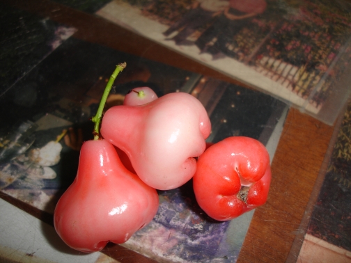 Chambekka Fruit