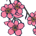 Cherry Blossom Icon