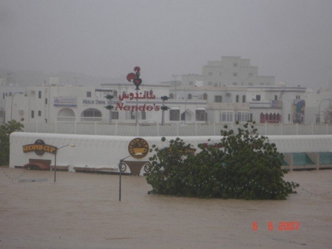 Nandos Submerged