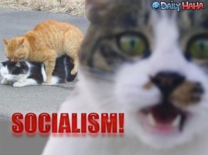 OMG SOCIALISM!!!